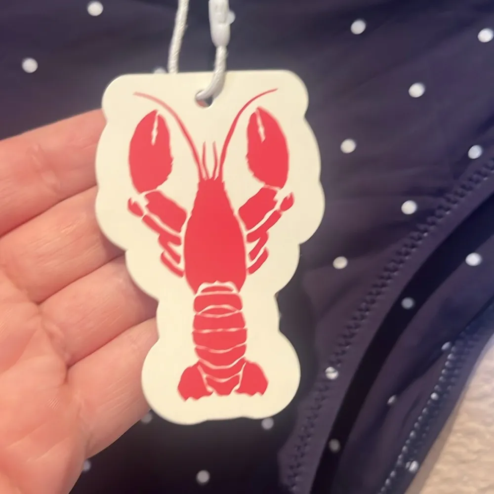 New Grey Bandit x Ana Women’s NEW ENGLAND POLKA MID RISE BOTTOM Size Medium NWT Blue - Image 5