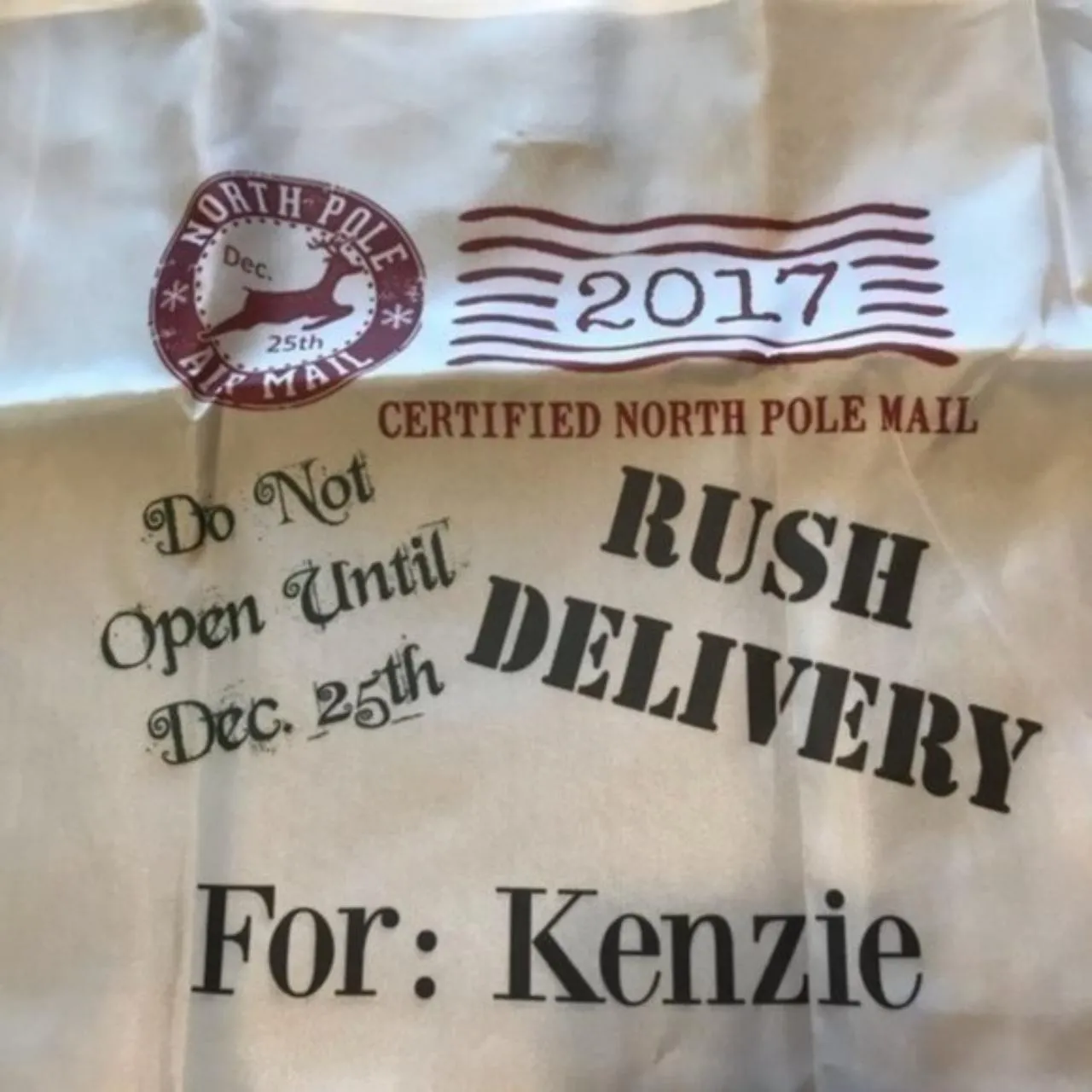 Kenzie Christmas Gift Bag - Image 2