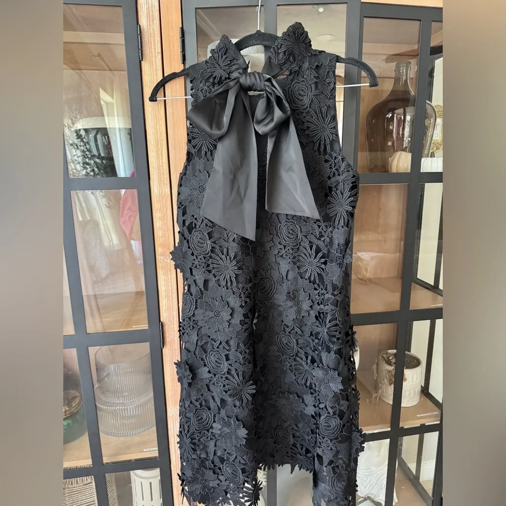 Tuckernuck Guipure Lace Blythe Dress bow mini sleeveless black tie ruffle neck - Image 7