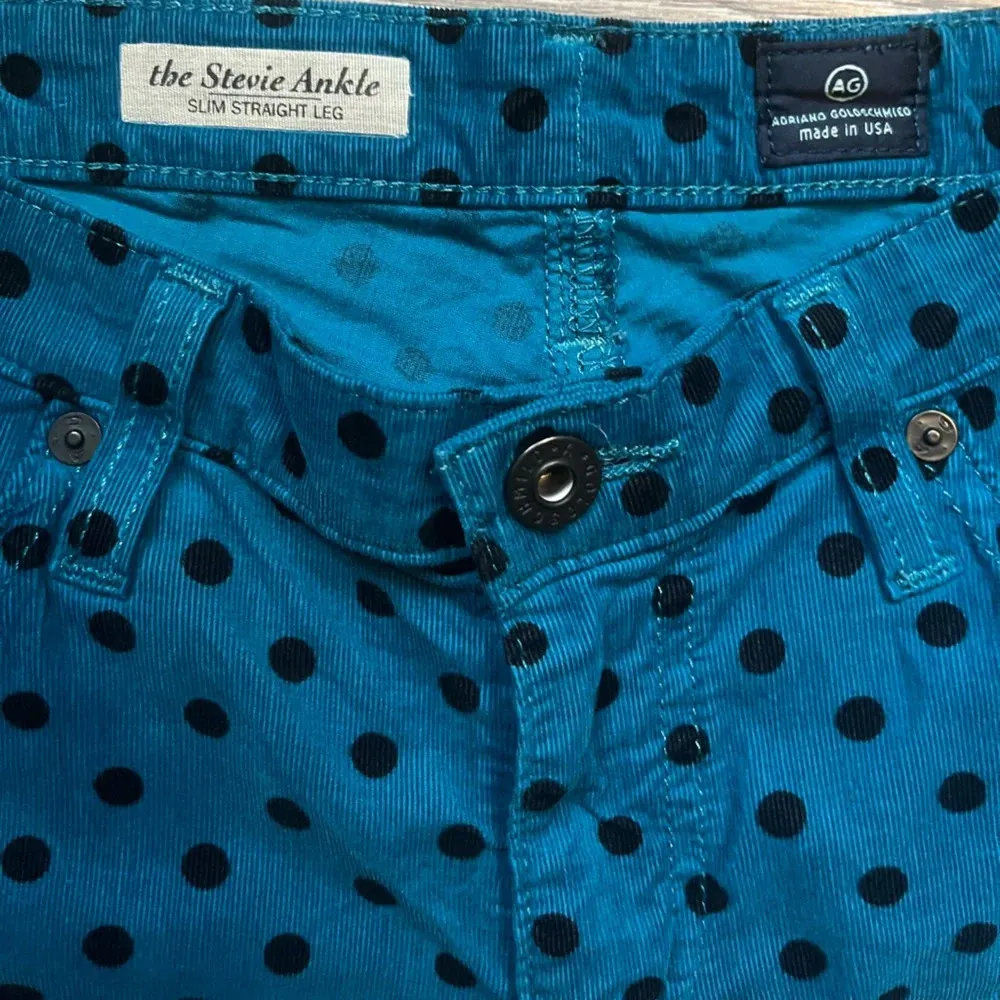 AG Adriano Goldschmied Blue Polka Dot Stevie Ankle Straight Leg Corduroys S 28 - Image 3