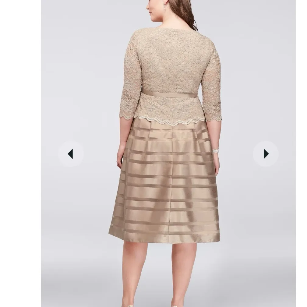 Alex Evenings Champagne‎ Glitter Lace Striped Organza Midi Party Dress Size 6 - Image 5