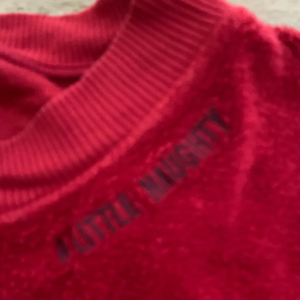 Aerie Women’s Sz L Red A Little Naughty‎ Cozy Good Vibes Oversized Sweatshirt - Image 9