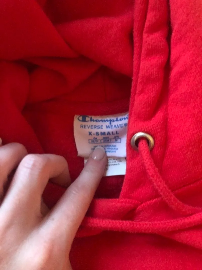 Champion Hoddie - Image 2