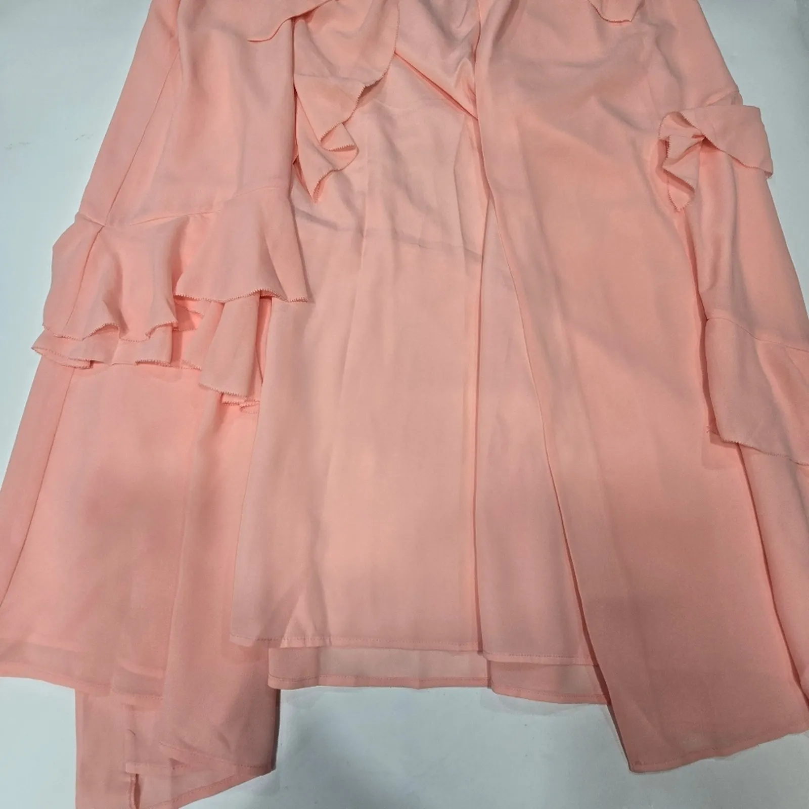 LPA Gown 253 in Blush XL - Image 4