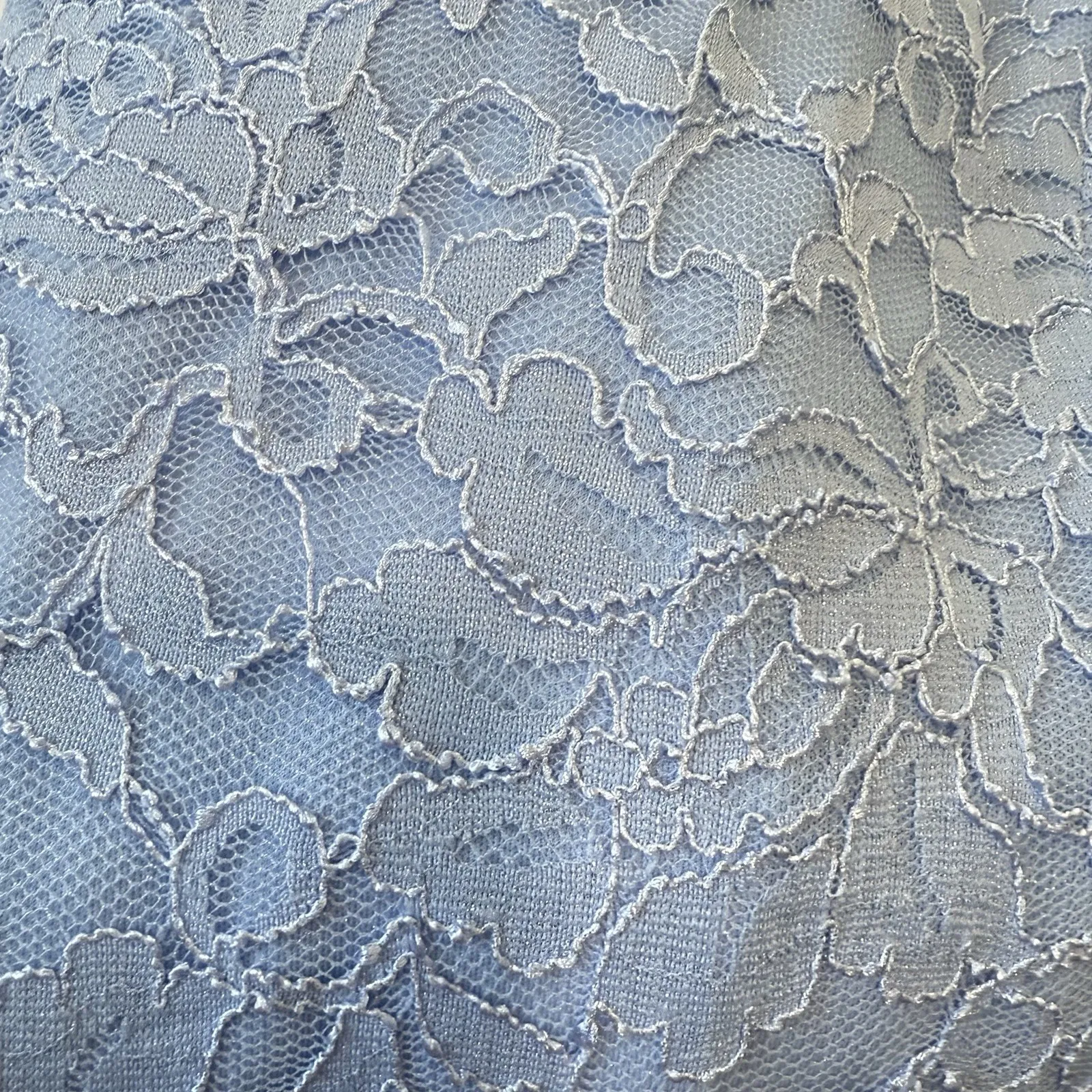 Alex Evenings Blue Scalloped Glitter‎ Lace Two Piece Jacket Dress Size 20W - Image 5