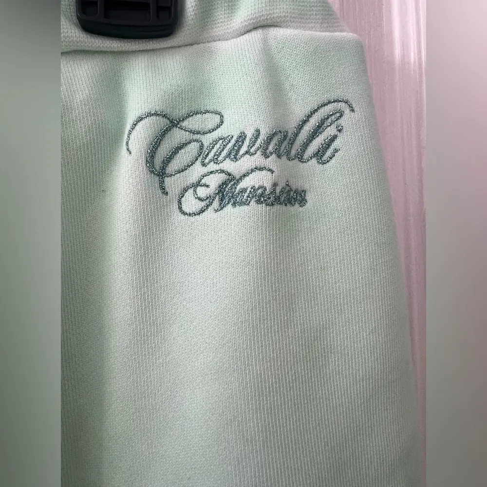 Roberto Cavalli Animalier Patchwork-Print Appliqué Sweatpants Mint Green Sz XXL - Image 10