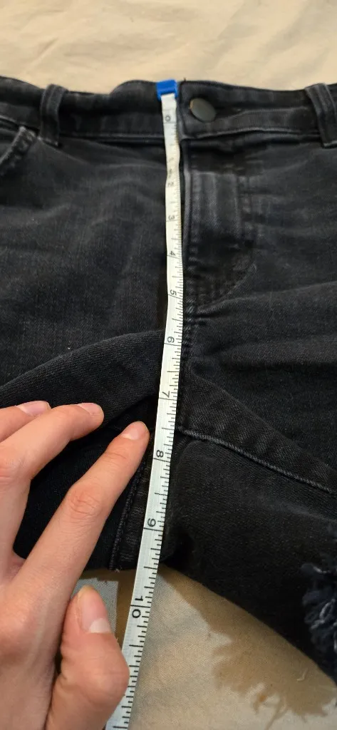 Velvet by Graham and Spencer shorts  - Image 4