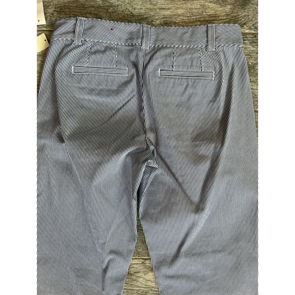 NWT Talbots Super Soft Weekend Chino Pant 2P 2 Petite Blue Stretch Stripe Womens - Image 8