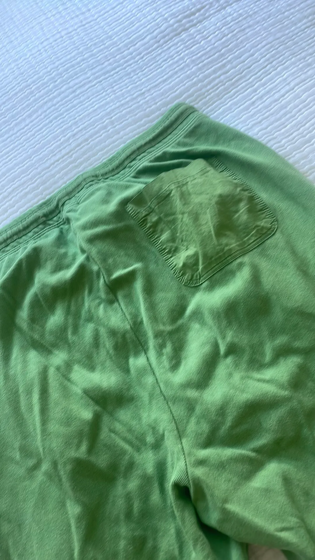 Aerie Green Cozy  Sweatpants - Image 3