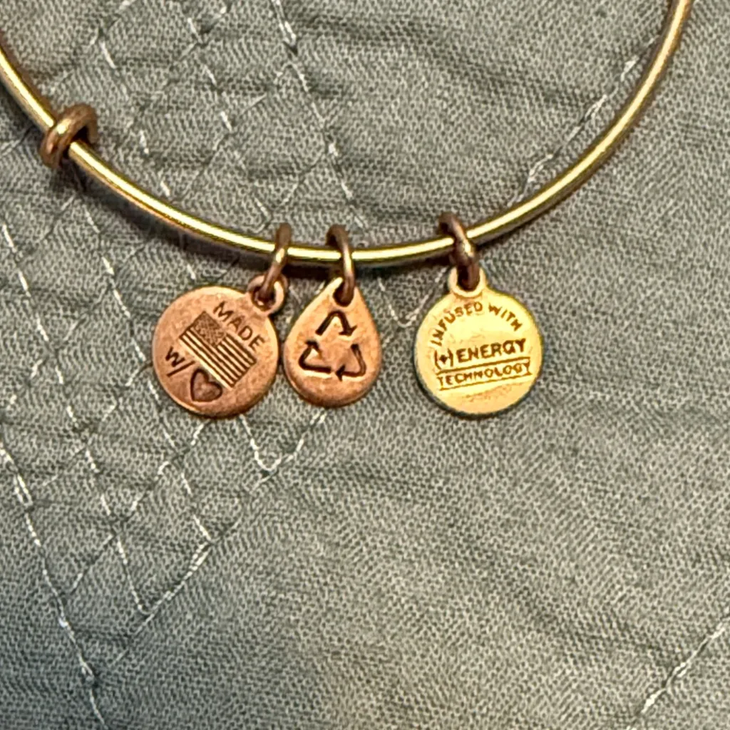 Alex and Ani Copper Grandmother Charm Bracelet - Image 4