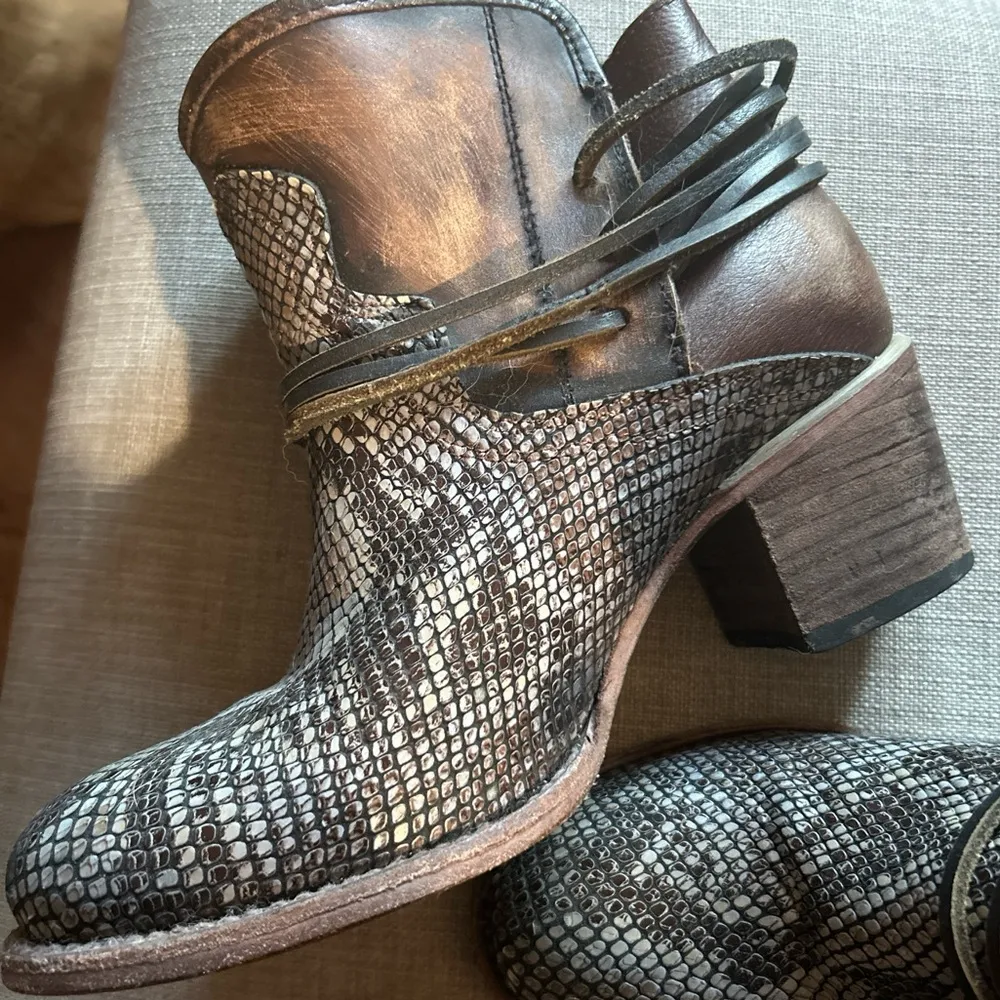 Freebird Casey​ - Image 2