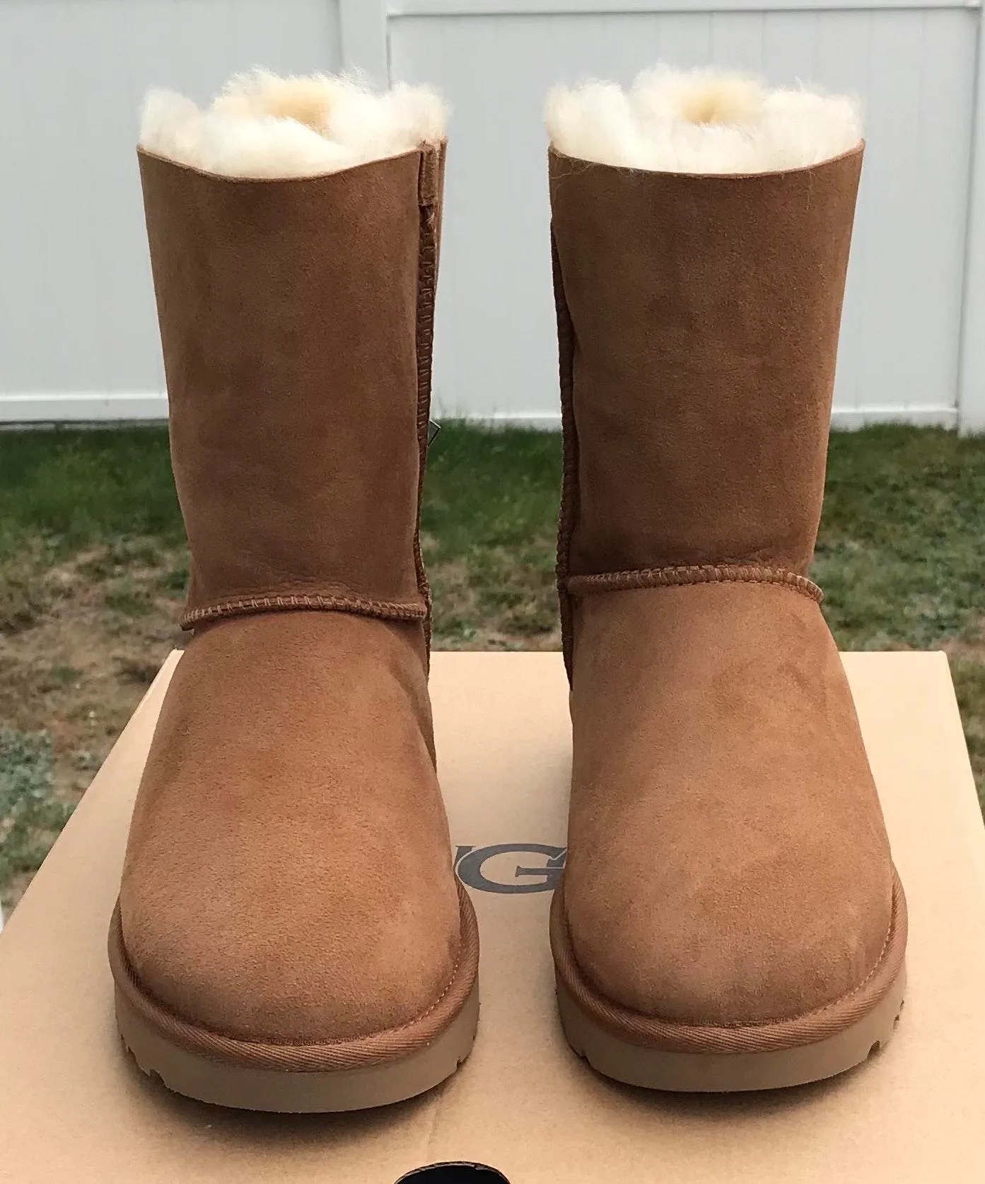 Bailey Bow II Shimmer - Image 4