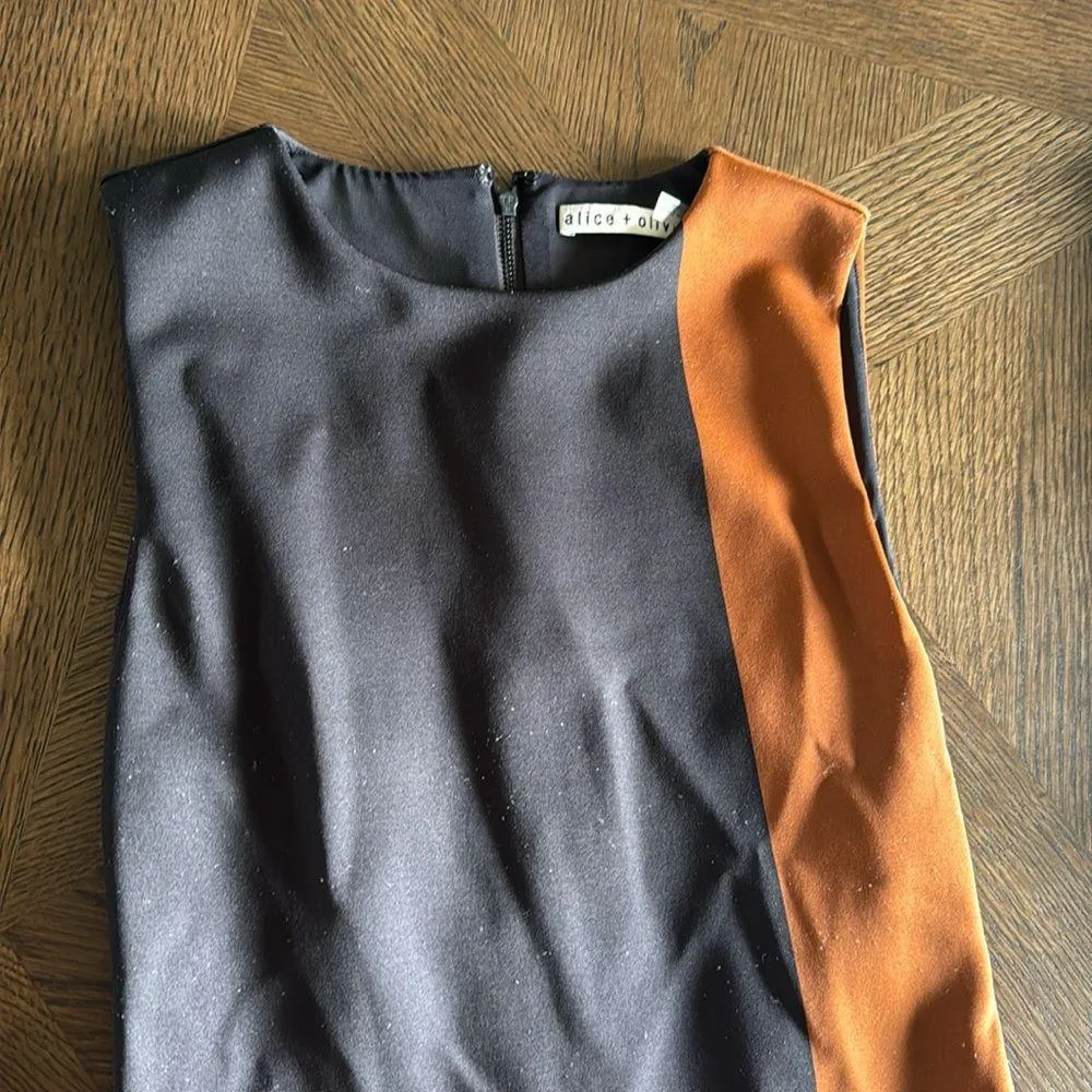 Alice + Olivia Wynell Colorblocked Minidress, Size 0, $295 - Image 8