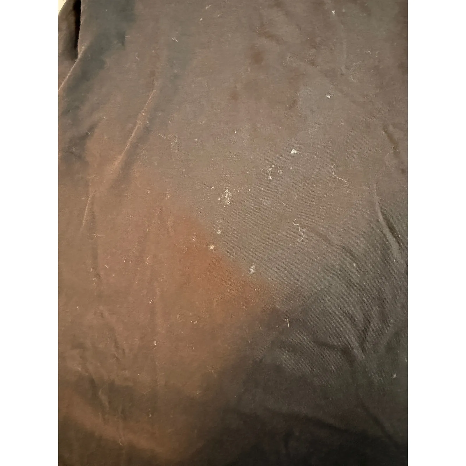 Burberry London Black T Shirt with Iconic Nova Check Detail Size L - Image 7