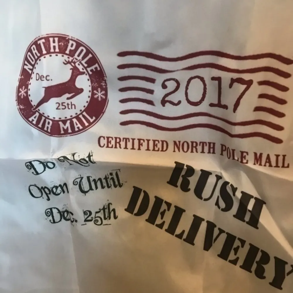 Christmas gift bag NWOT - Image 4