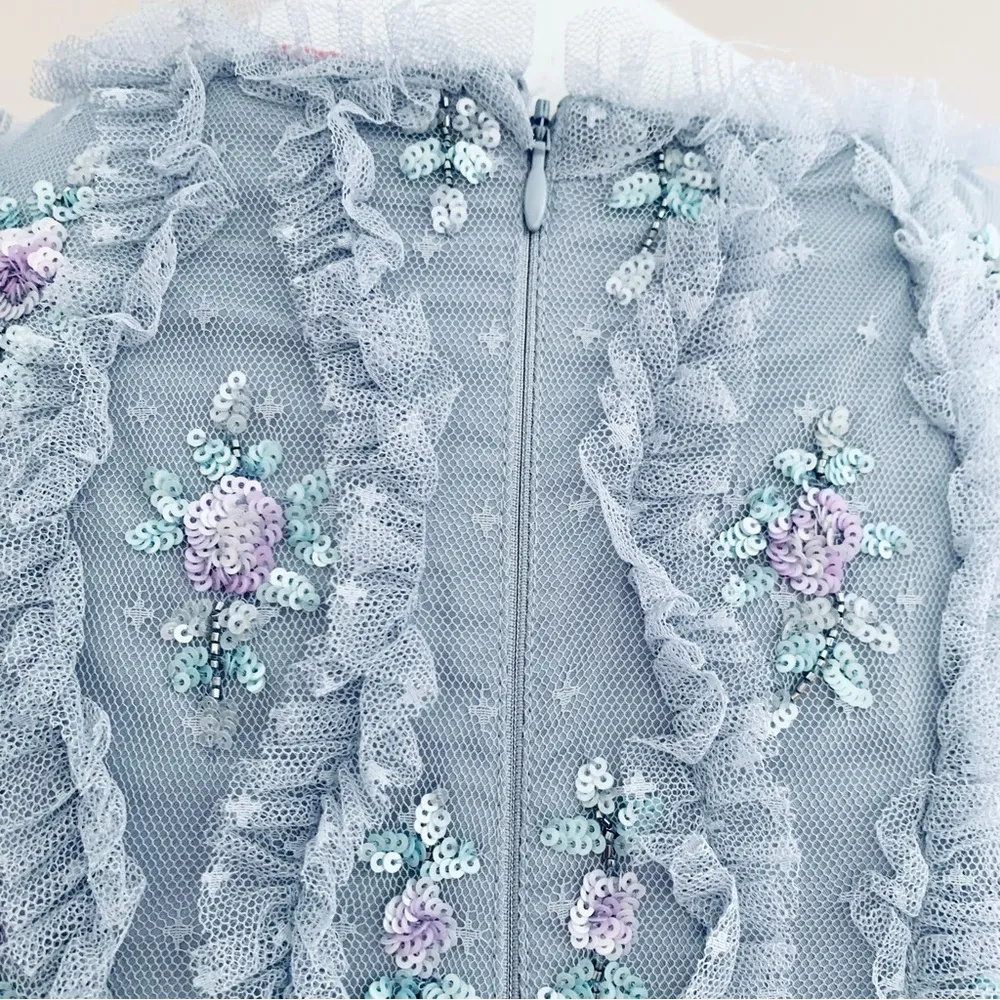 Ivy City Co Lilac/Gray Floral Beaded Ruffled Swiss Dot Maxi Tulle Dress. Purple Size 1X - Image 10