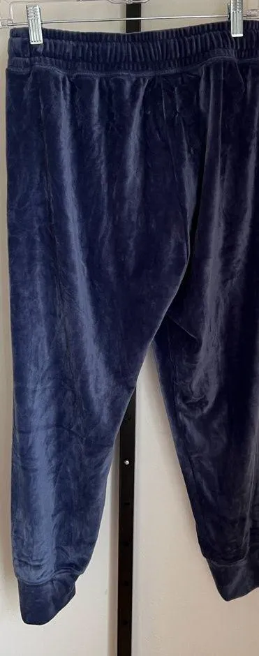 Offline By Aerie Blue Velour Joggers Medium Short - Image 2