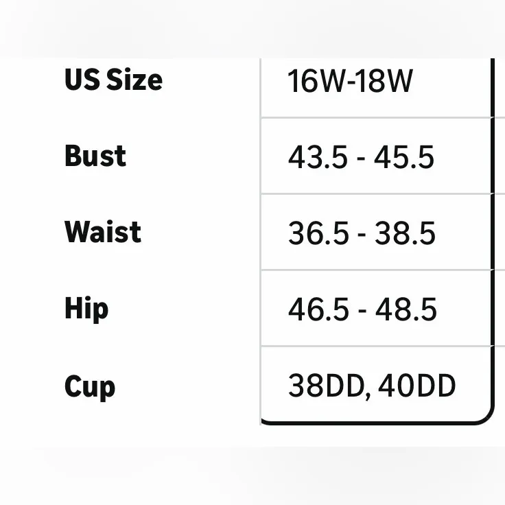 NEW Plus Size 1 Pc Swimsuit Removable Straps Adjustable Mesh Bathing Suit 1X - Image 3