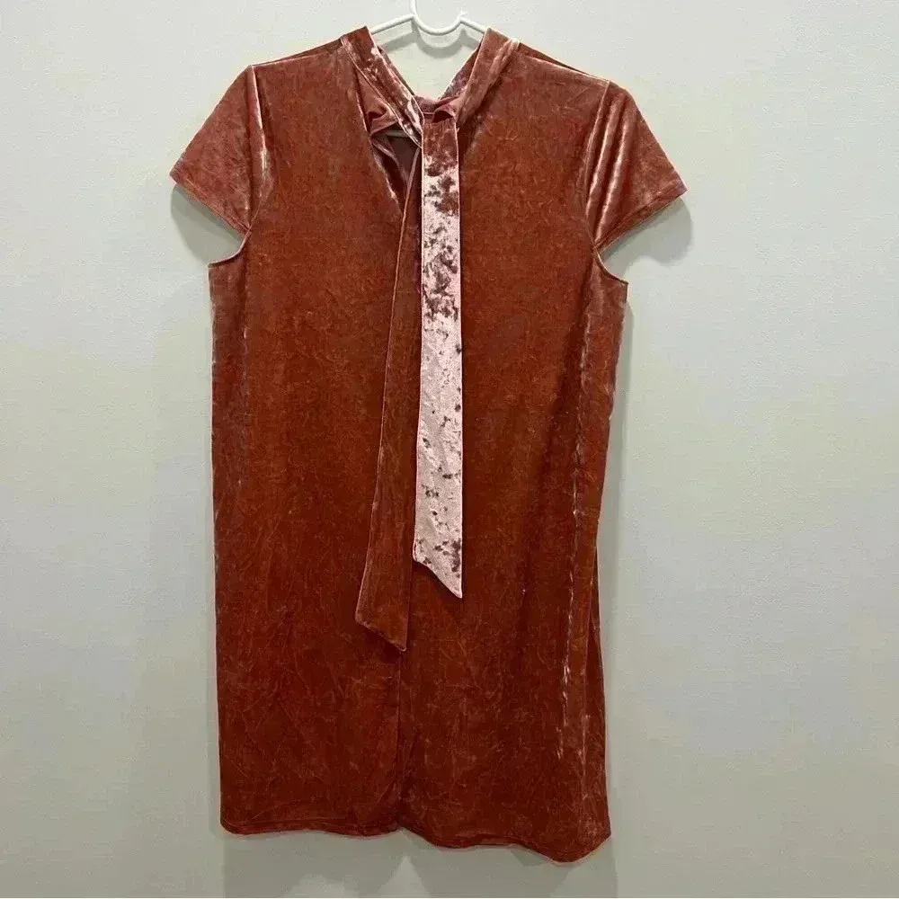 Madewell Soft Pink Crushed Velvet Mockneck Dress, Size M - Image 5