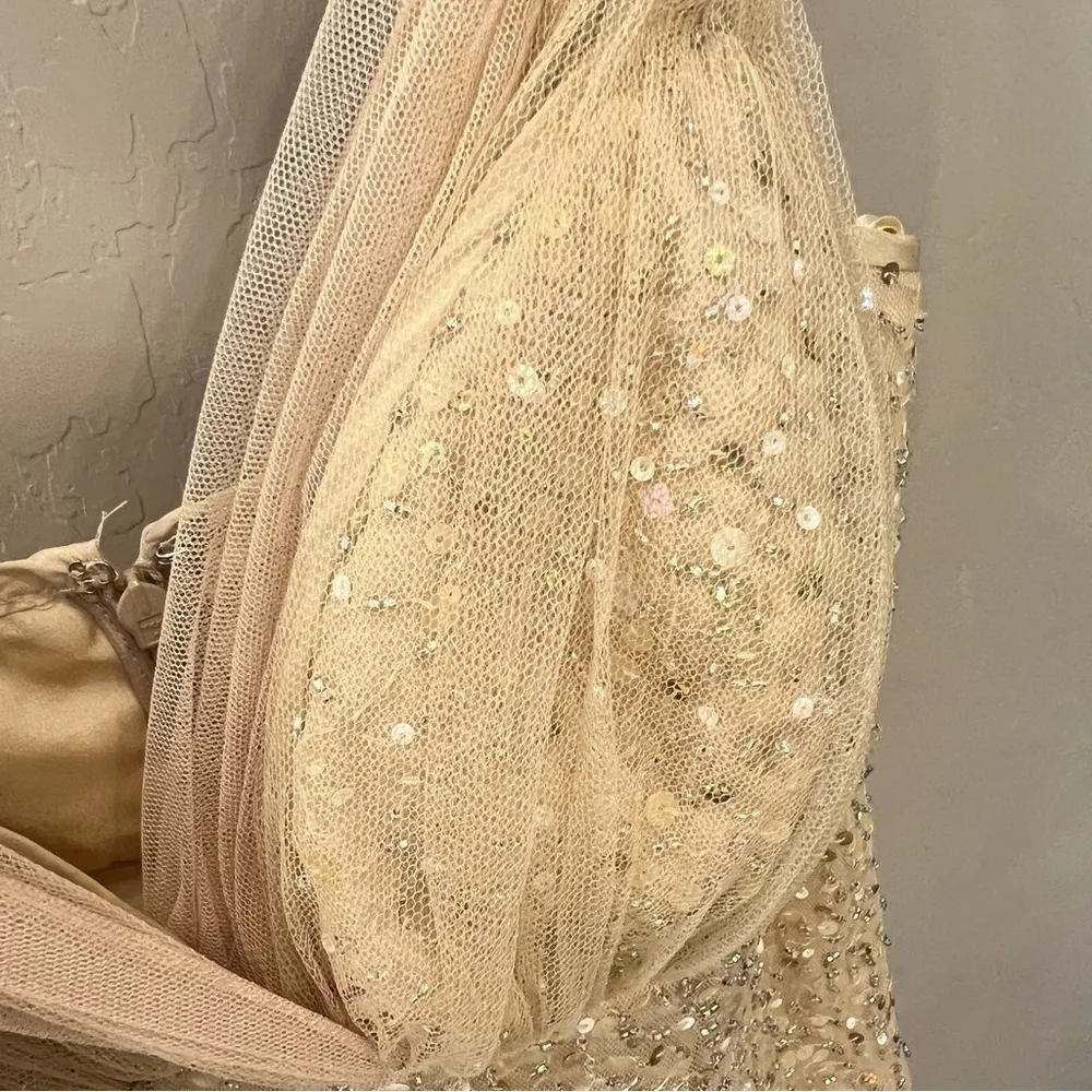 Teri Jon by Rickie Freeman heavily sequinned mermaid style gown, honey beige, 6 Tan - Image 9