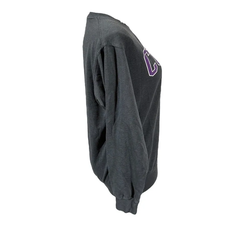 Curry College sweatshirt Gray Size M - Image 4