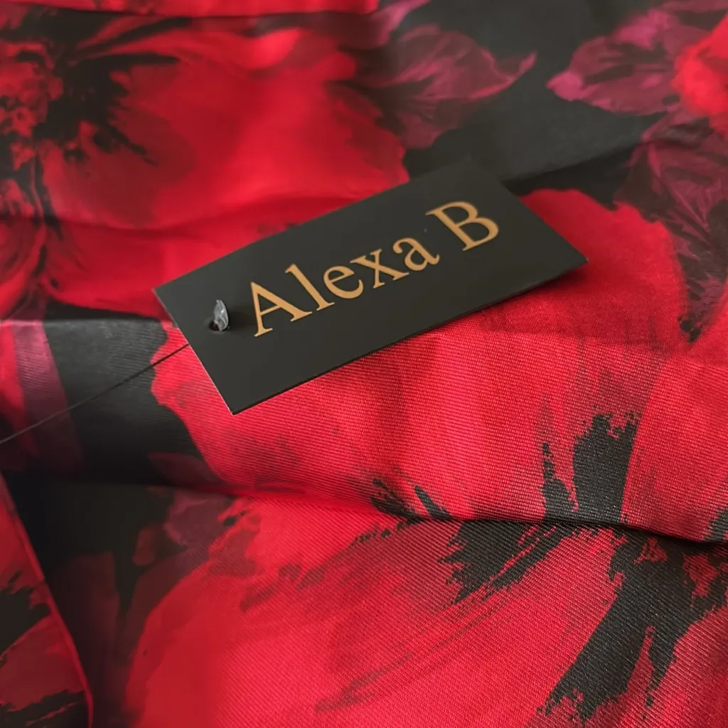 NWT Alexa B Floral Red and Black Maxi Skirt Dress Gown High Neckline Romantic Size 20W - Image 8
