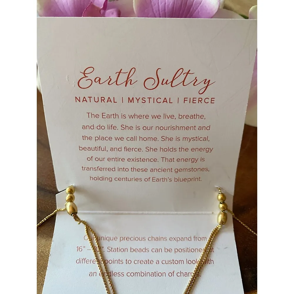 NWT Alex and Ani Red Jasper Chain Station Necklace - Image 5