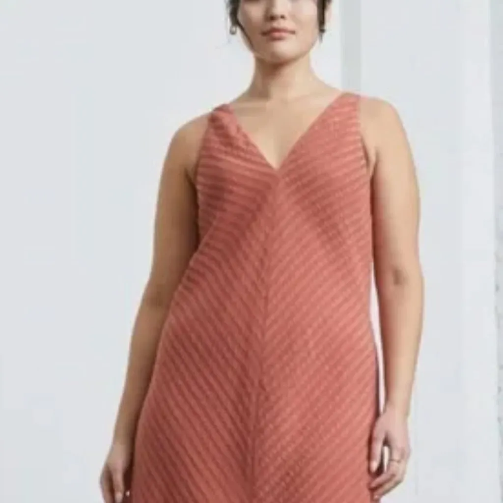 Everlane NWT Rust Colored City Striped Sleeveless V-neck Midi Dress - Image 8