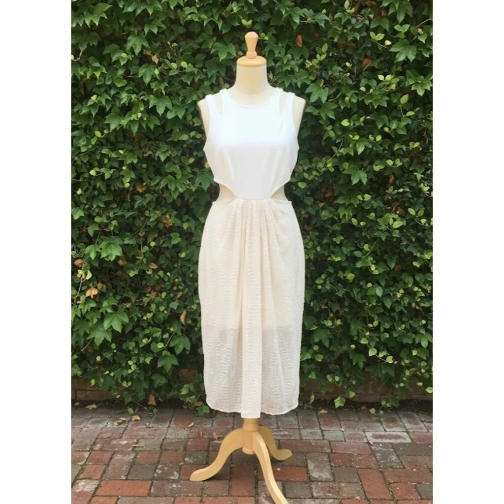 NWT Ronny Kobo JANINE in Bone Sheer Textured Burnout Skirt Cutout Dress S $358 - Image 2