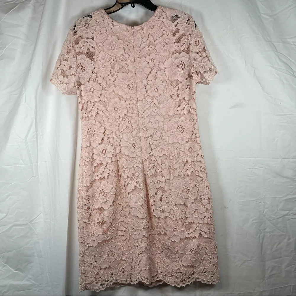 Lauren Ralph Lauren Lace Dress in Soft Pink SZ:12 - Image 4