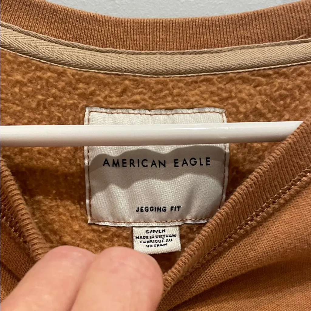 Tan Crewneck Sweatshirt American eagle small fleece lined - Image 2