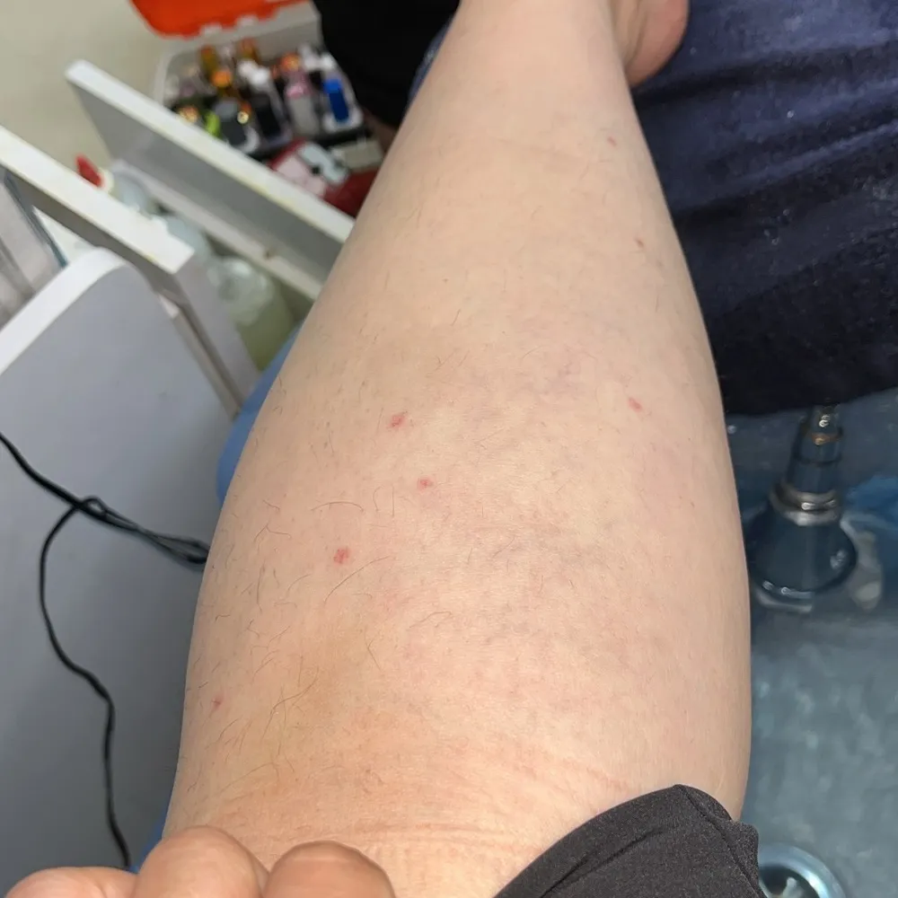 Noreen Phillips VTG Hand Embroidered Glass Beaded Floral Corset Top Olive Green Size M - Image 10