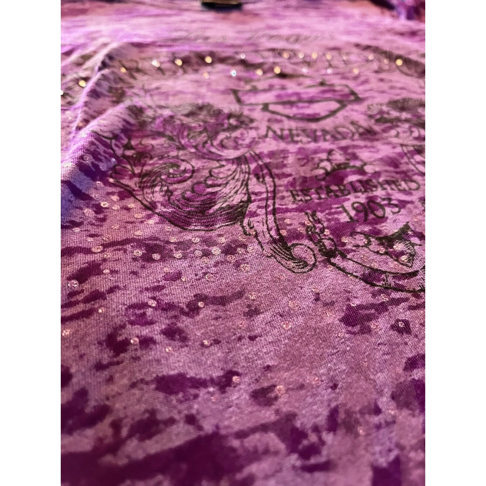 Vintage Y2K Harley Davidson Women's Small T - Image 4