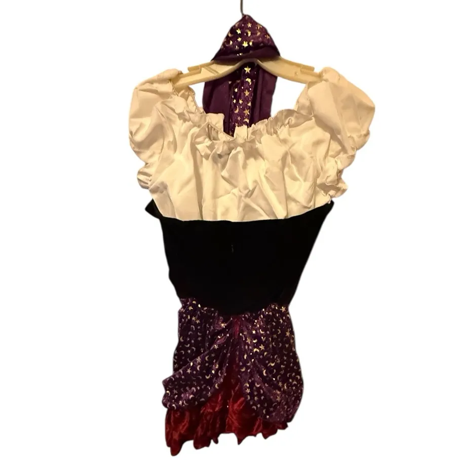 Underwraps Costumes Miss Fortune Halloween Costume Dress Size M - Image 6