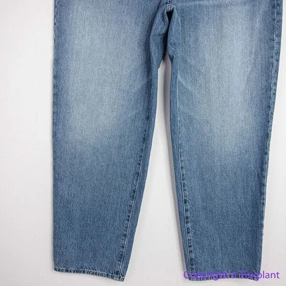 NEW Madewell The Slouchy‎ Boyjean Rosewell Wash, 31 - Image 5