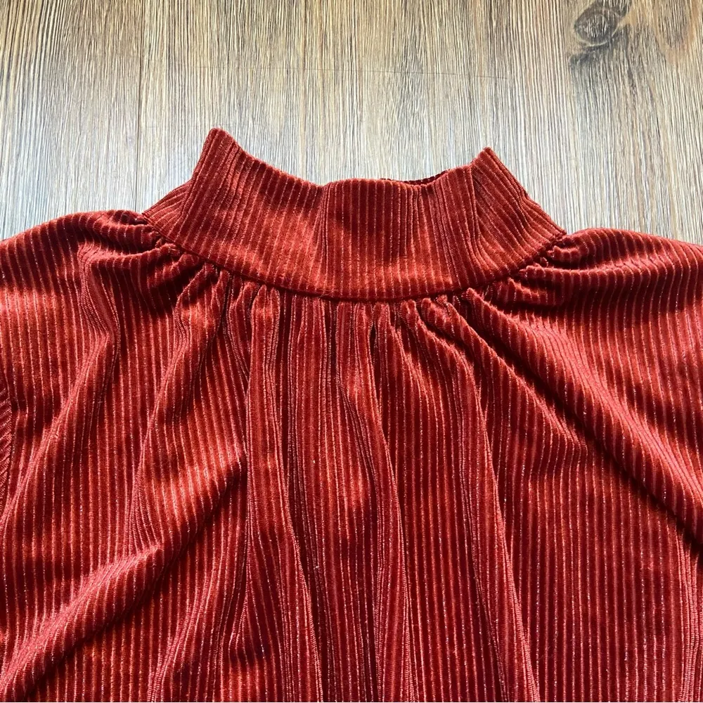 Lost + Wander Rust Velvet Blouse - Image 5