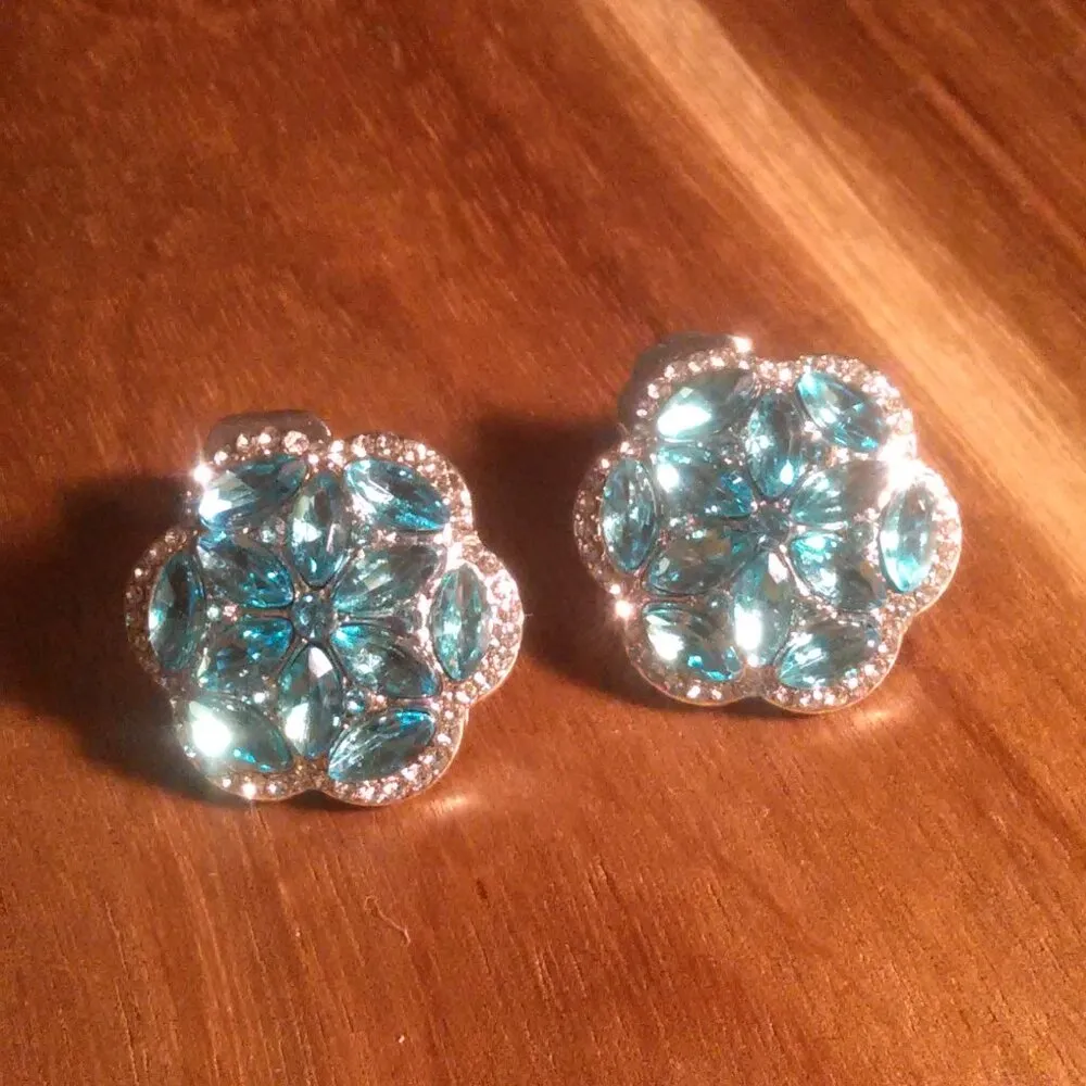 Sky Blue and White Austrian Crystal Silvertone Stud Earrings - Image 5