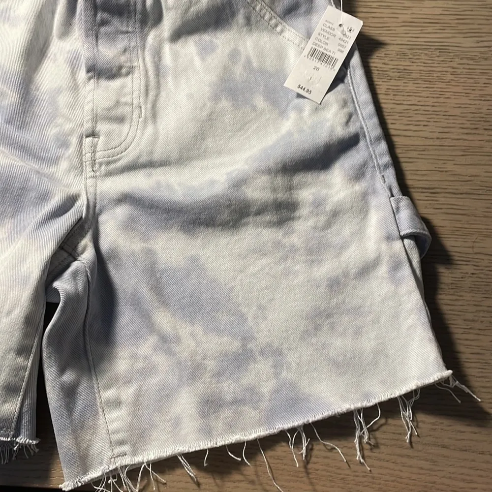 Pacsun Shorts - Image 8