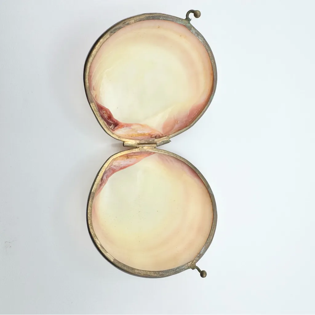 Vintage Natural Clamshell Kiss - Image 5