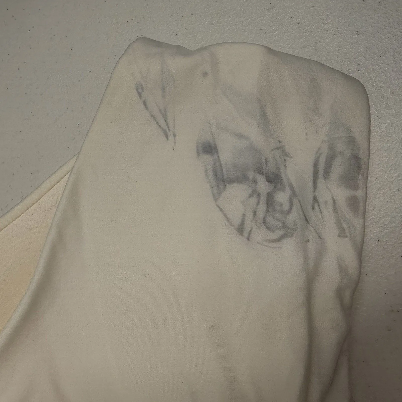 Torrid 40B Bra Dream Wire Free Push Up Wireless Padded Full Coverage Support - Image 7