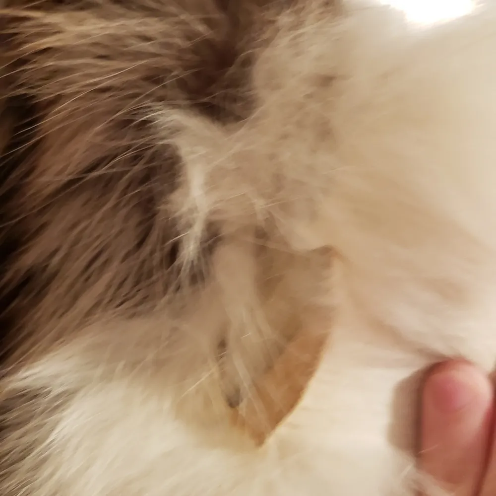 Harry Kirshner & Sons 90s NYC Fashion District Fur Brown Size L - Image 10