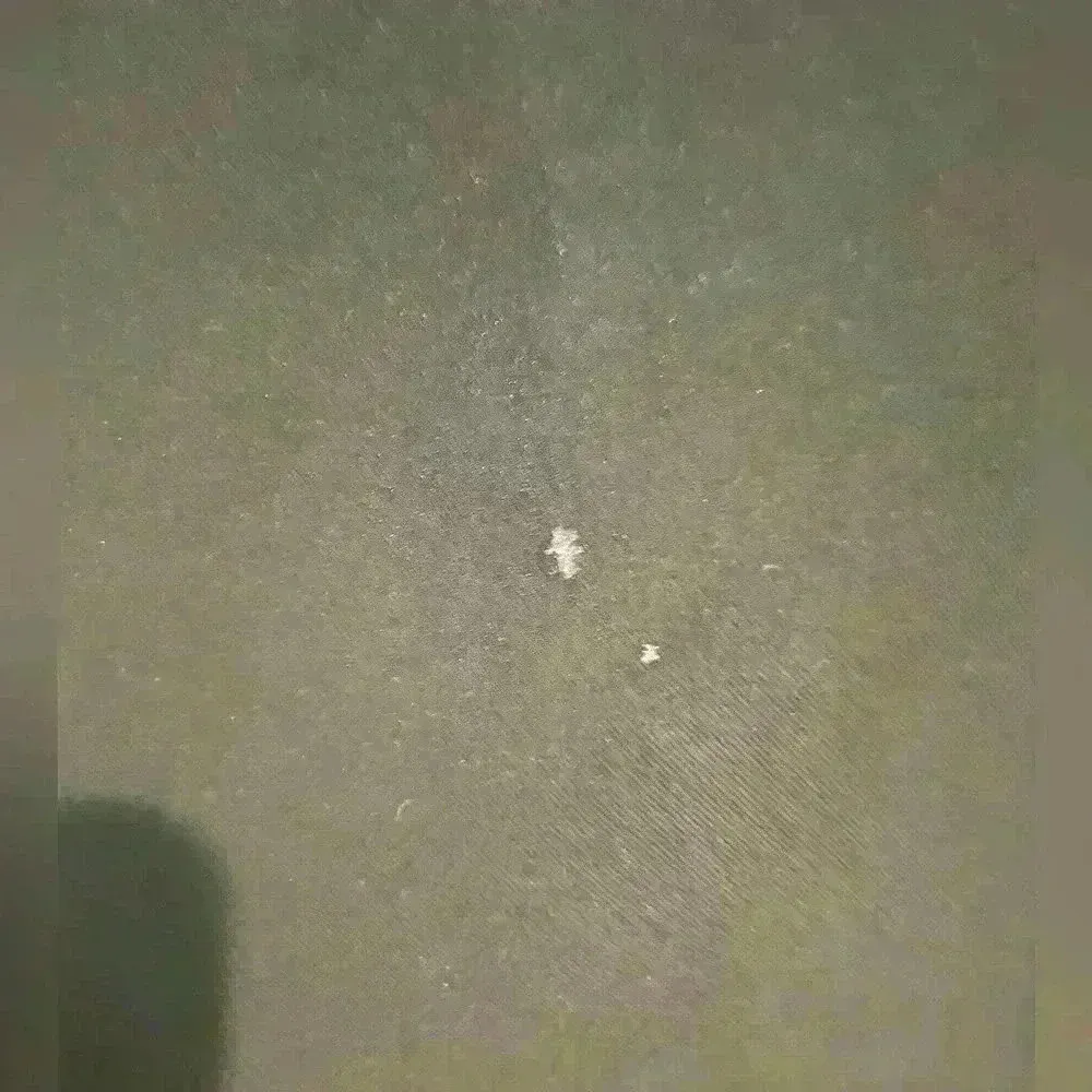 Women’s Black Formal Dress - Image 4