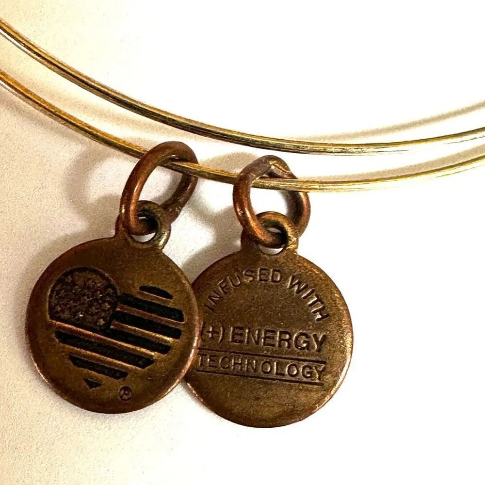 Alex and Ani Pomegranate Seeds of Promise Beaded gold tone Bangle - Image 6