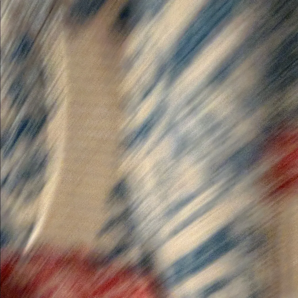 CAbi Multicolor Patterned Cardigan medium zip - Image 4