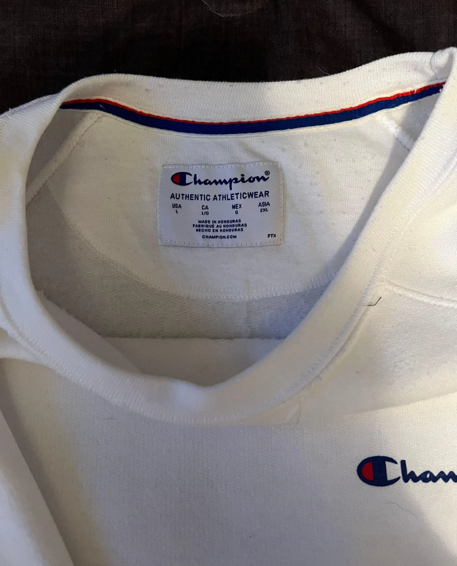 Champion Crewneck - Image 2