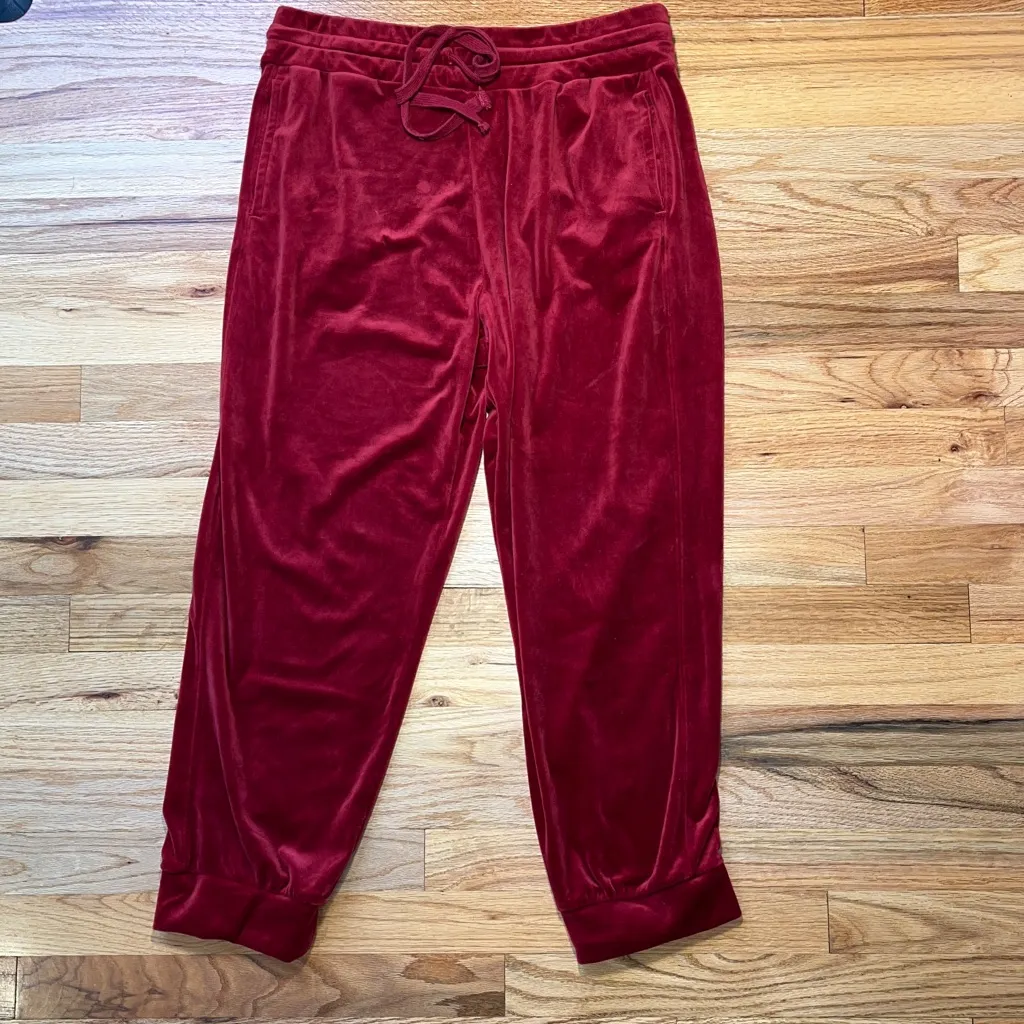 Anthropologie Saturday Sunday Women’s Merida Red Velour Joggers Size L - Image 3