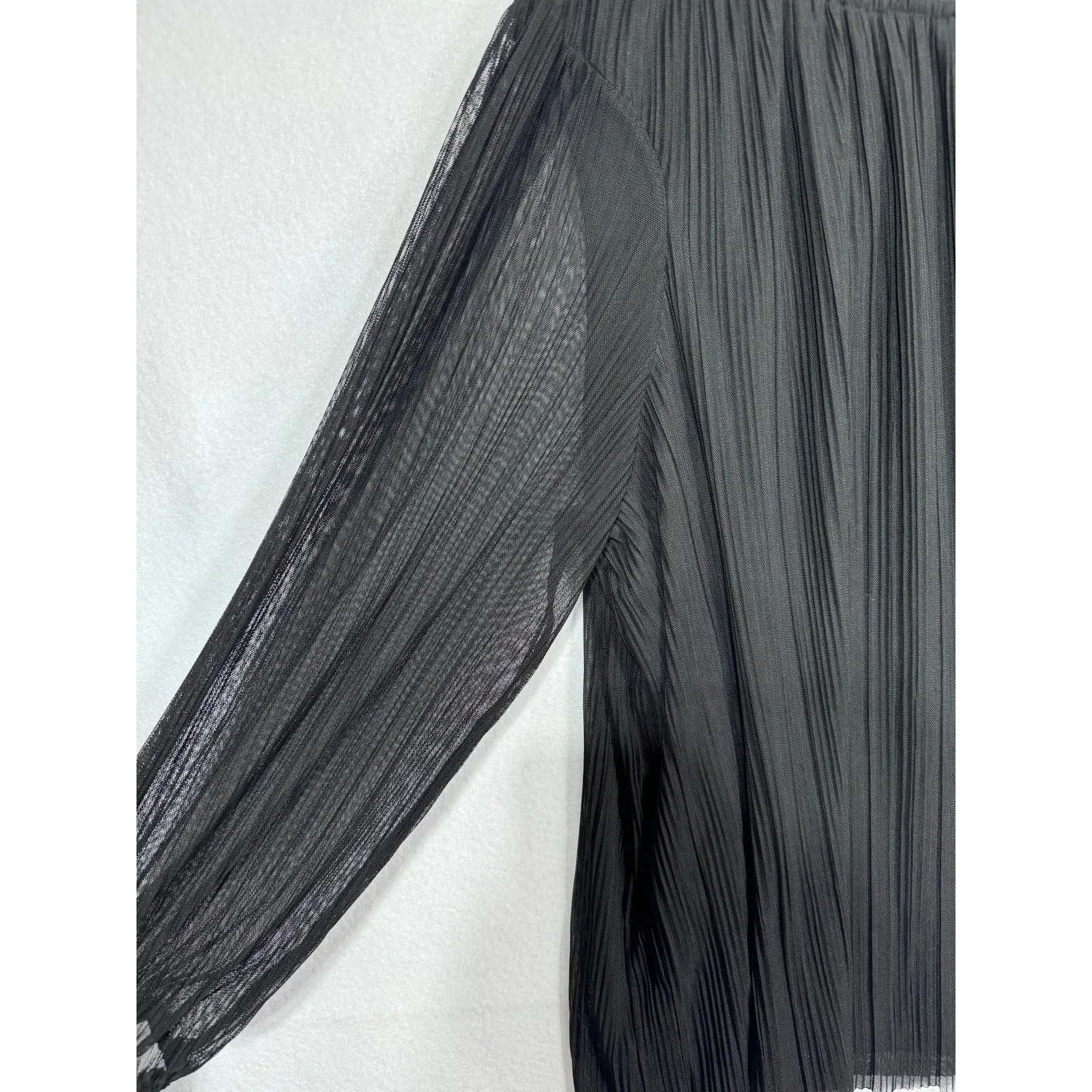 Terra & Sky Pleated Sheer Blouse Black‎ Woolens Plus Size 20W-22W Boho Chic - Image 3