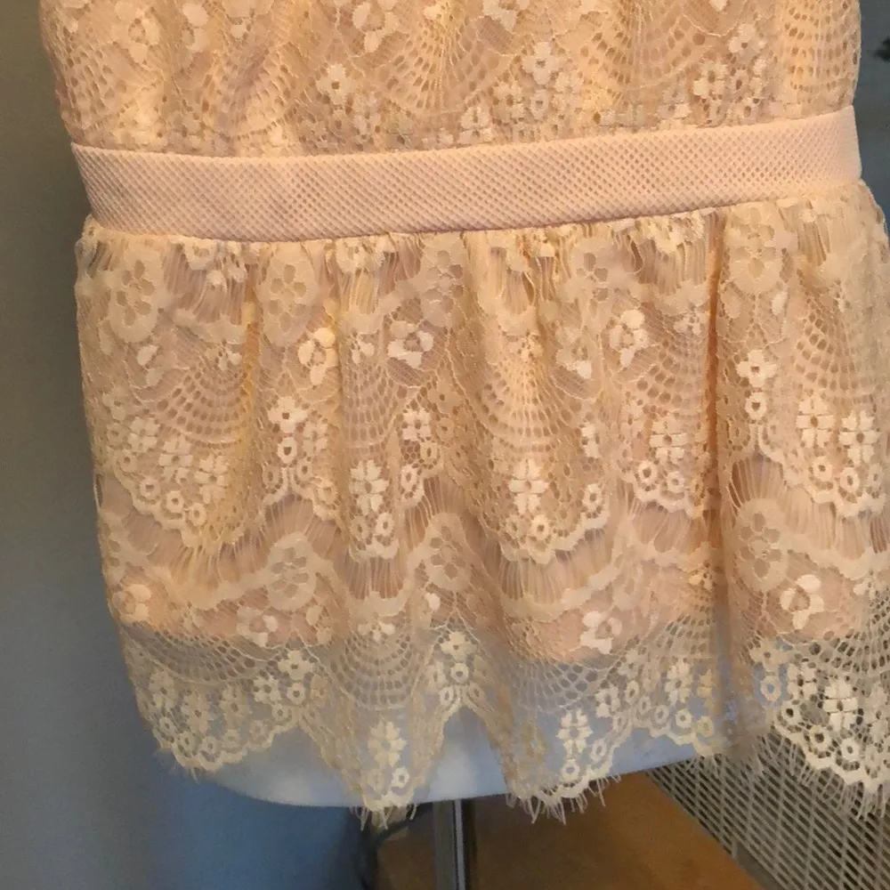 Forever21 Pink Lace Sleeveless Top - Image 3