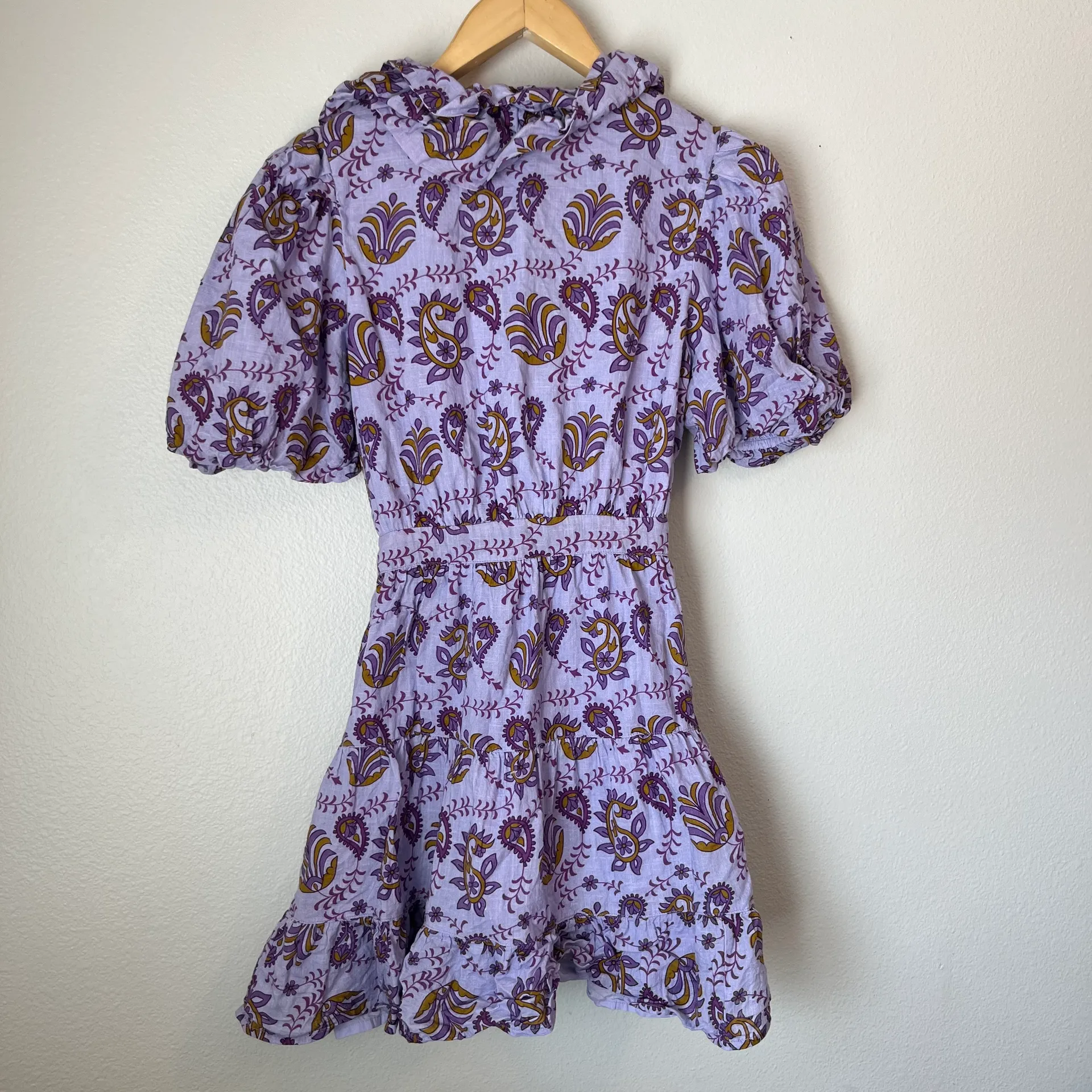 Rahi Paisley Amber Mini Dress - Image 7