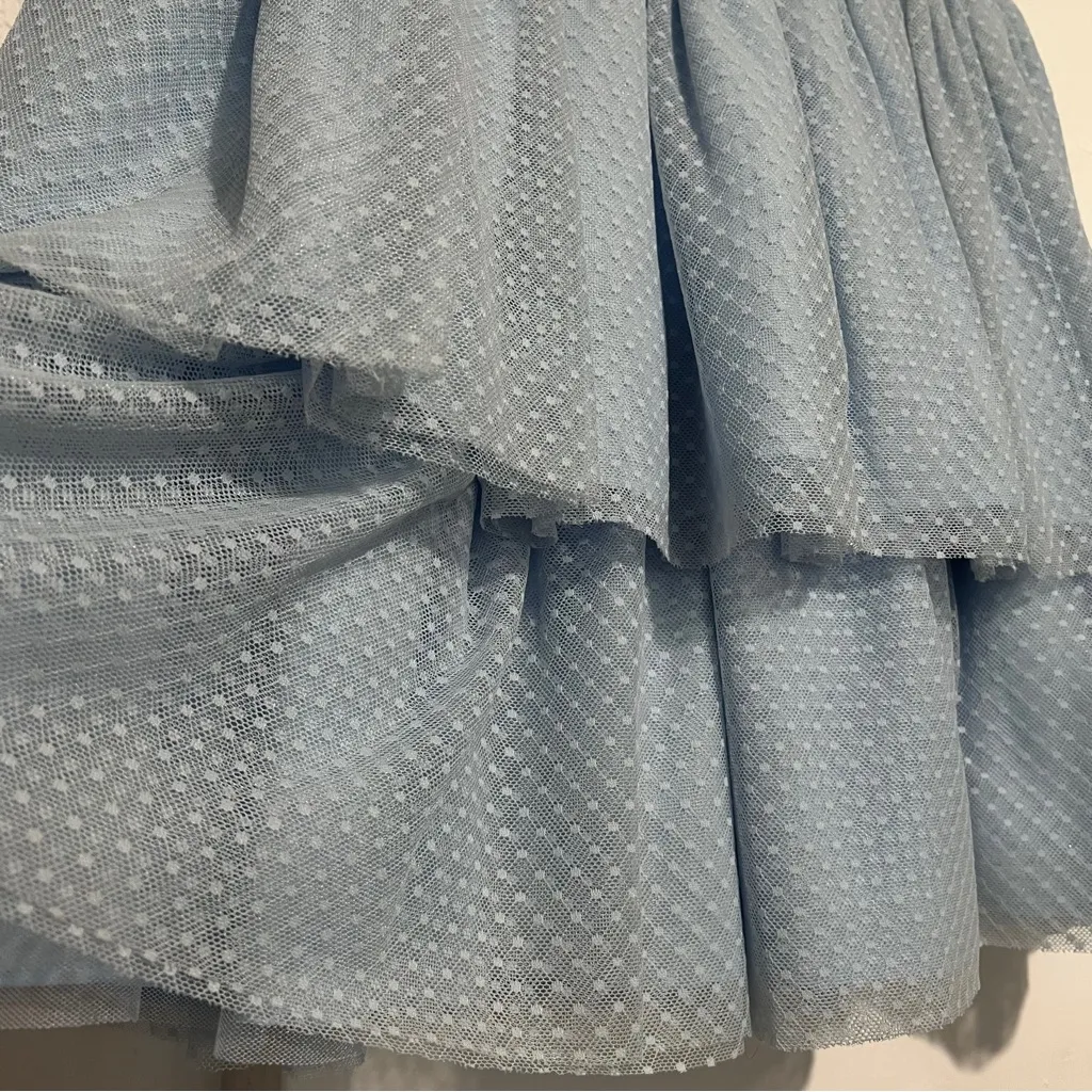 Hill House The Clara Tulle Tiered Dotted Mini Skirt Powder Blue Small :Box 0013: - Image 5
